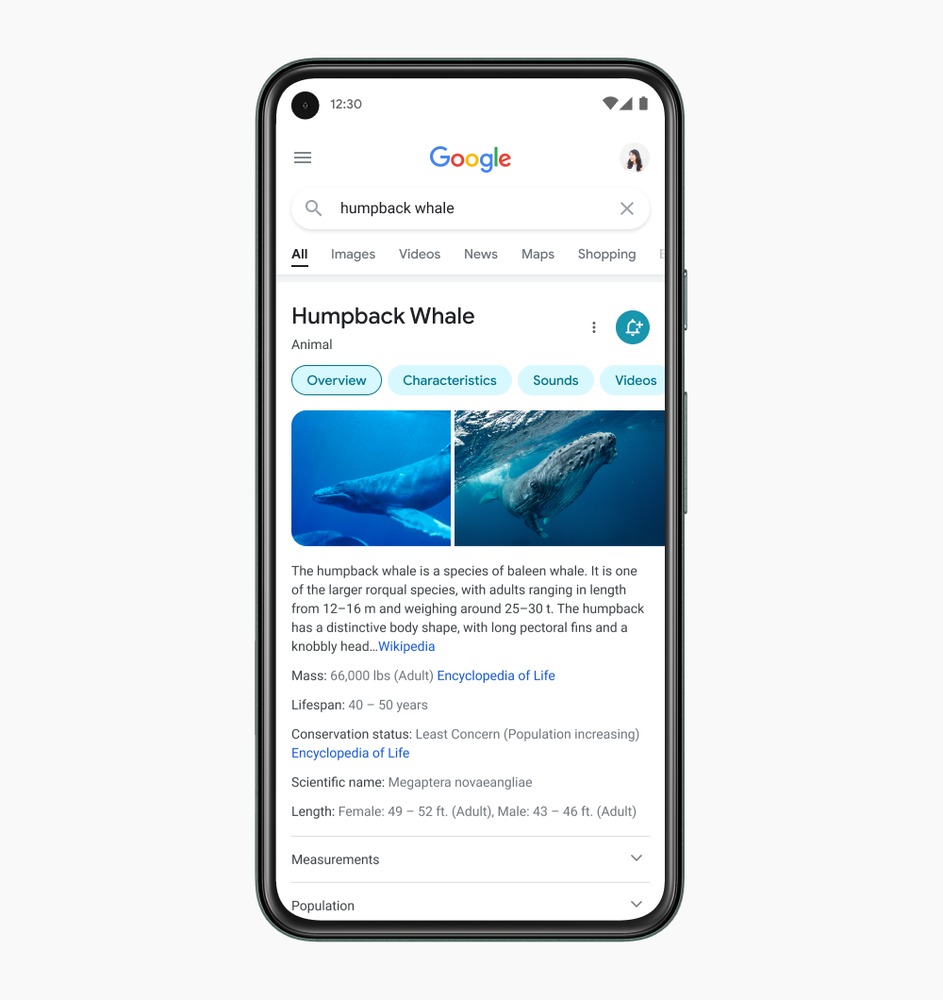 Redesign mobile google search